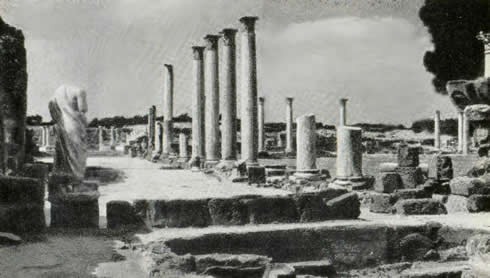 Колонны восточного портика палестры гимнасия в Саламине. IV а. н. э.