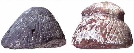 Гравированные каменные фишки из Хирокитии