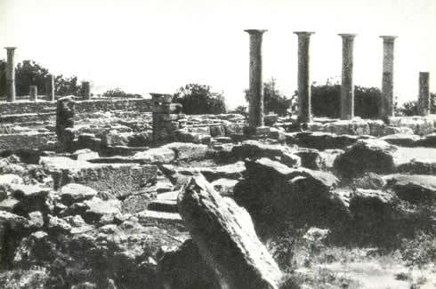 Общий вид руин святилища Аполлона близ Куриона. II в. н. э.