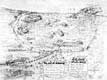 Панорамная карта Саламина
